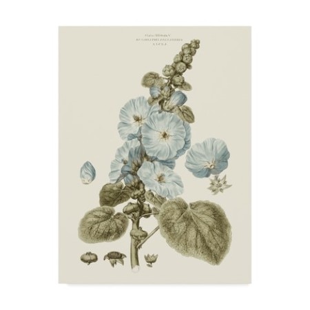 TRADEMARK FINE ART John Miller 'Bashful Blue Florals Iv' Canvas Art, 14x19 WAG03963-C1419GG